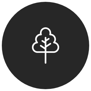 vegetation clearing (1)